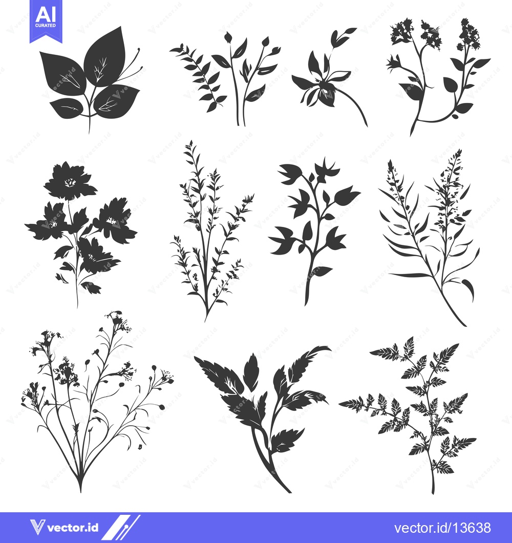 Premium Vector dari A Collection of Nine Black Silhouette Botanical Illustrations