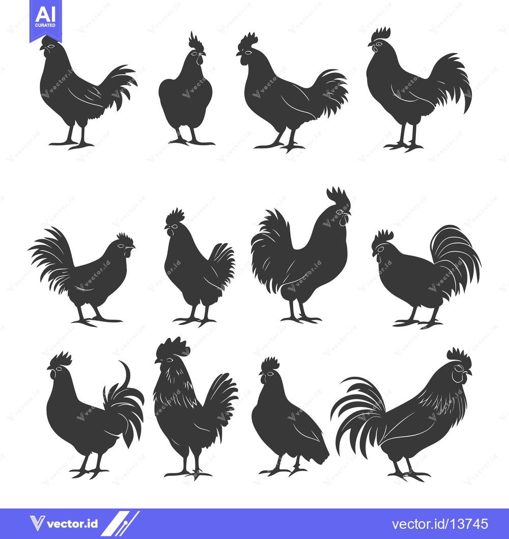 Premium Vector dari A Collection of Rooster Silhouettes in Various Poses