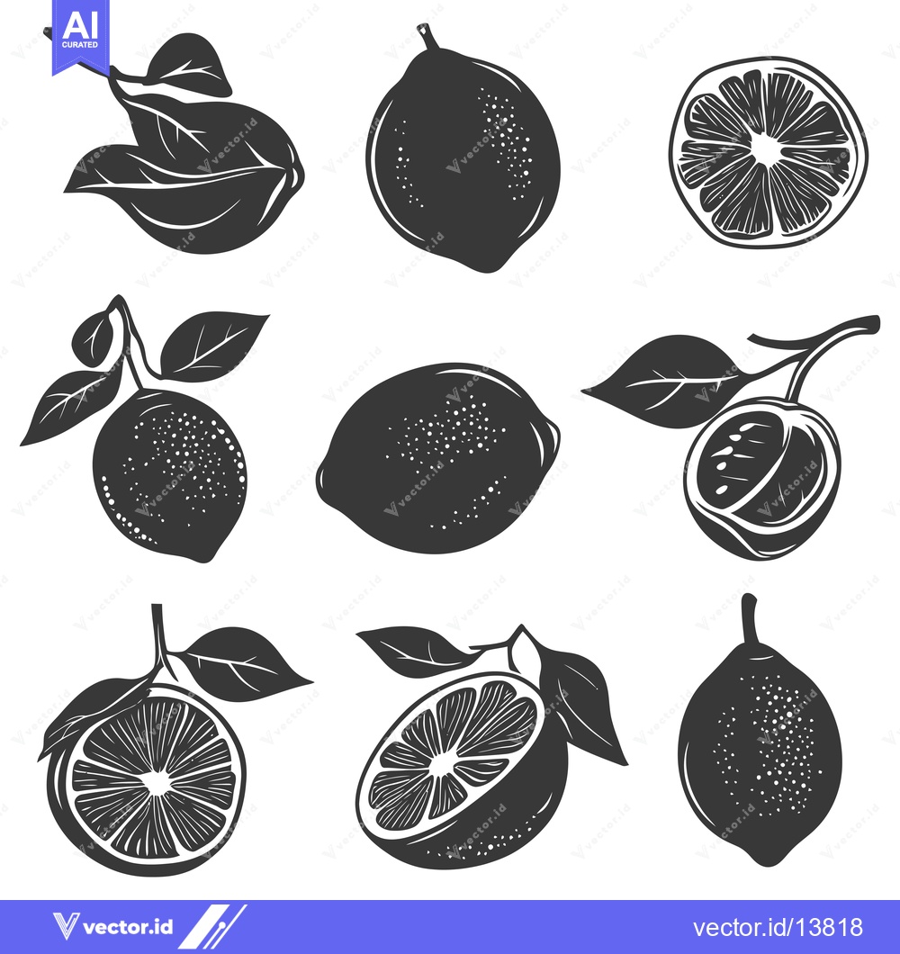 Premium Vector of A Collection of  Silhouettes of Limes and Lime Slices with Leaves