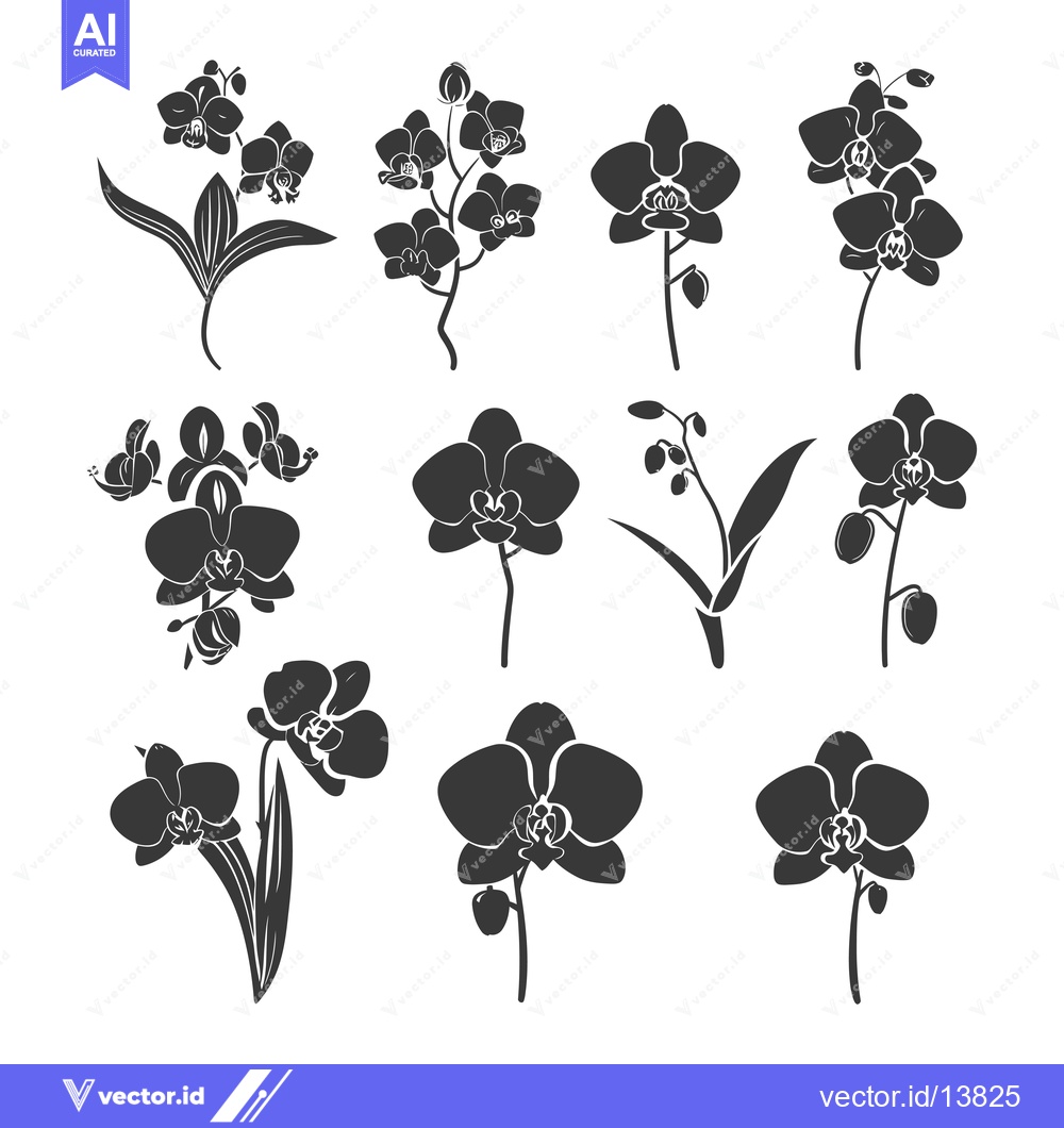 Premium Vector dari A Collection of Silhouettes of Orchids with Different Arrangements