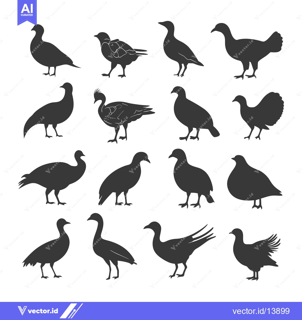 Premium Vector dari A Collection of Sixteen Black Silhouettes of Various Bird Species