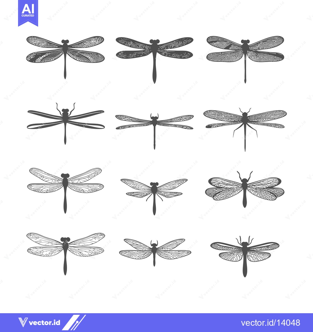 Premium Vector of A Collection of Twelve Detailed Dragonfly Illustrations