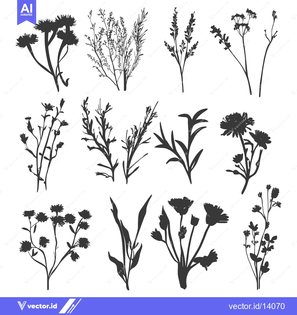 Premium Vector of A Collection of Twelve Silhouettes of Wildflowers