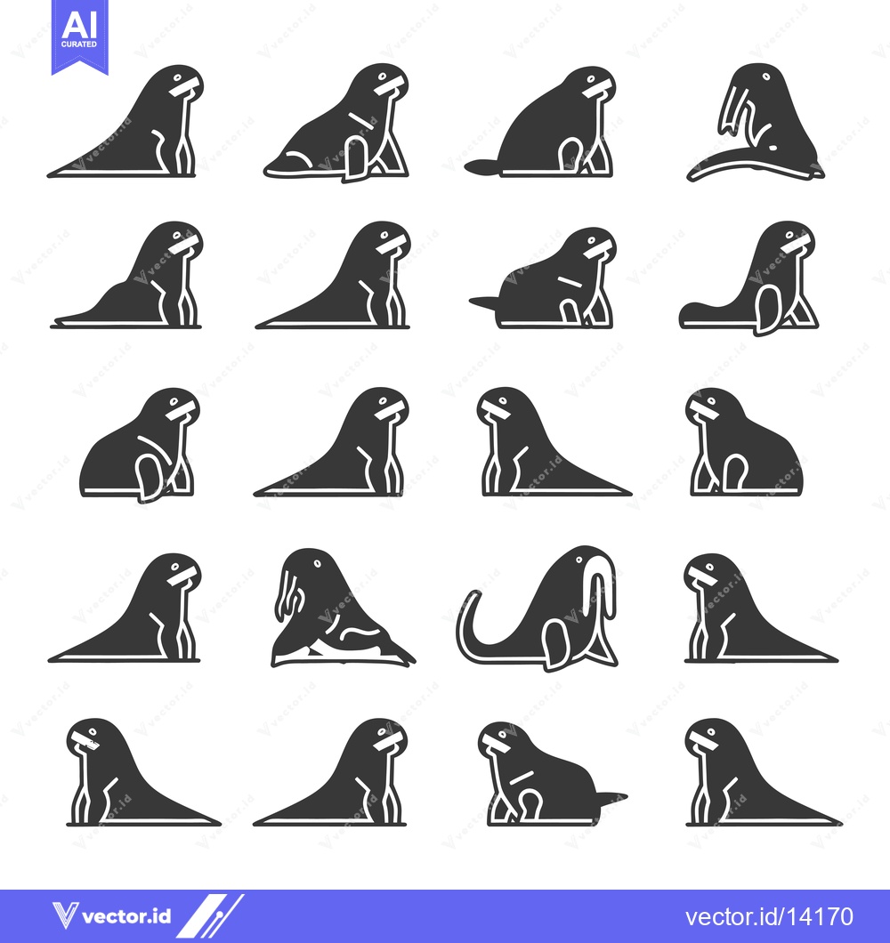 Premium Vector dari A Collection of Walrus Illustrations in Various Poses