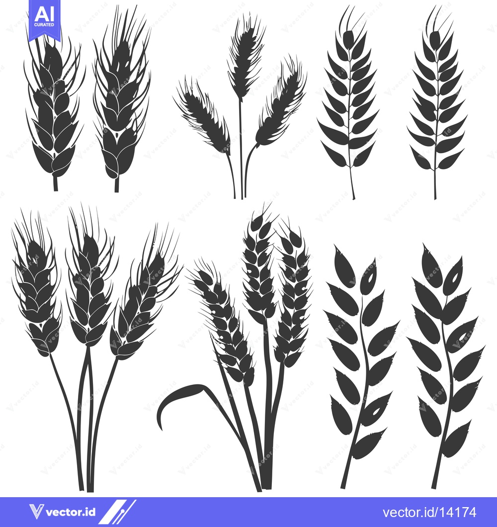 Premium Vector dari A Collection of Wheat and Grain Silhouettes
