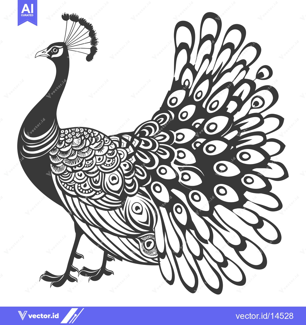 Premium Vector dari A Detailed Black and White Illustration of a Peacock with its Feathers