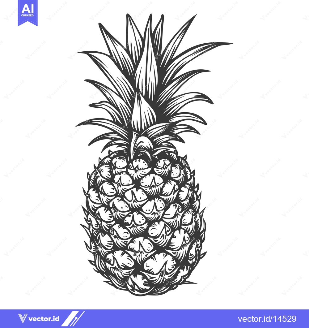 Premium Vector of A Detailed Black and White Illustration of a Pineapple
