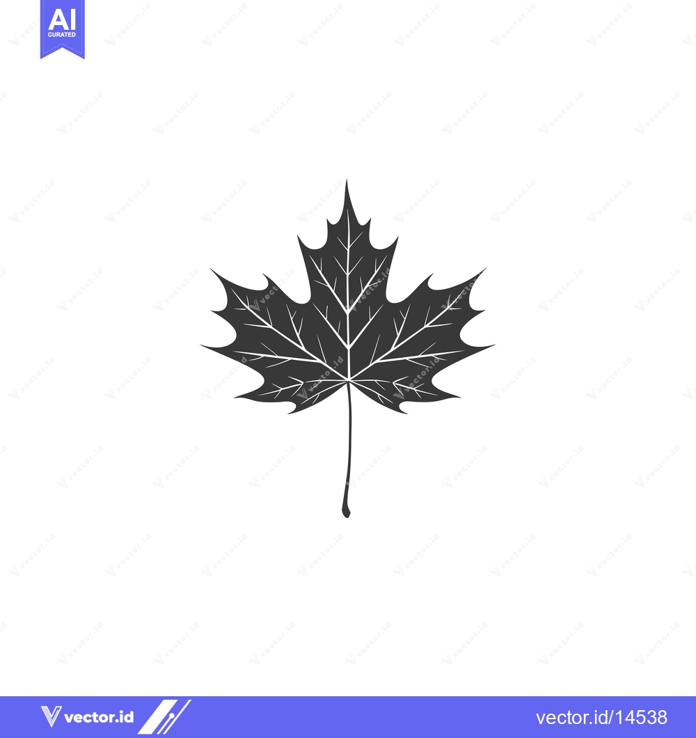 Premium Vector dari A Detailed Black and White Illustration of a Single Maple Leaf