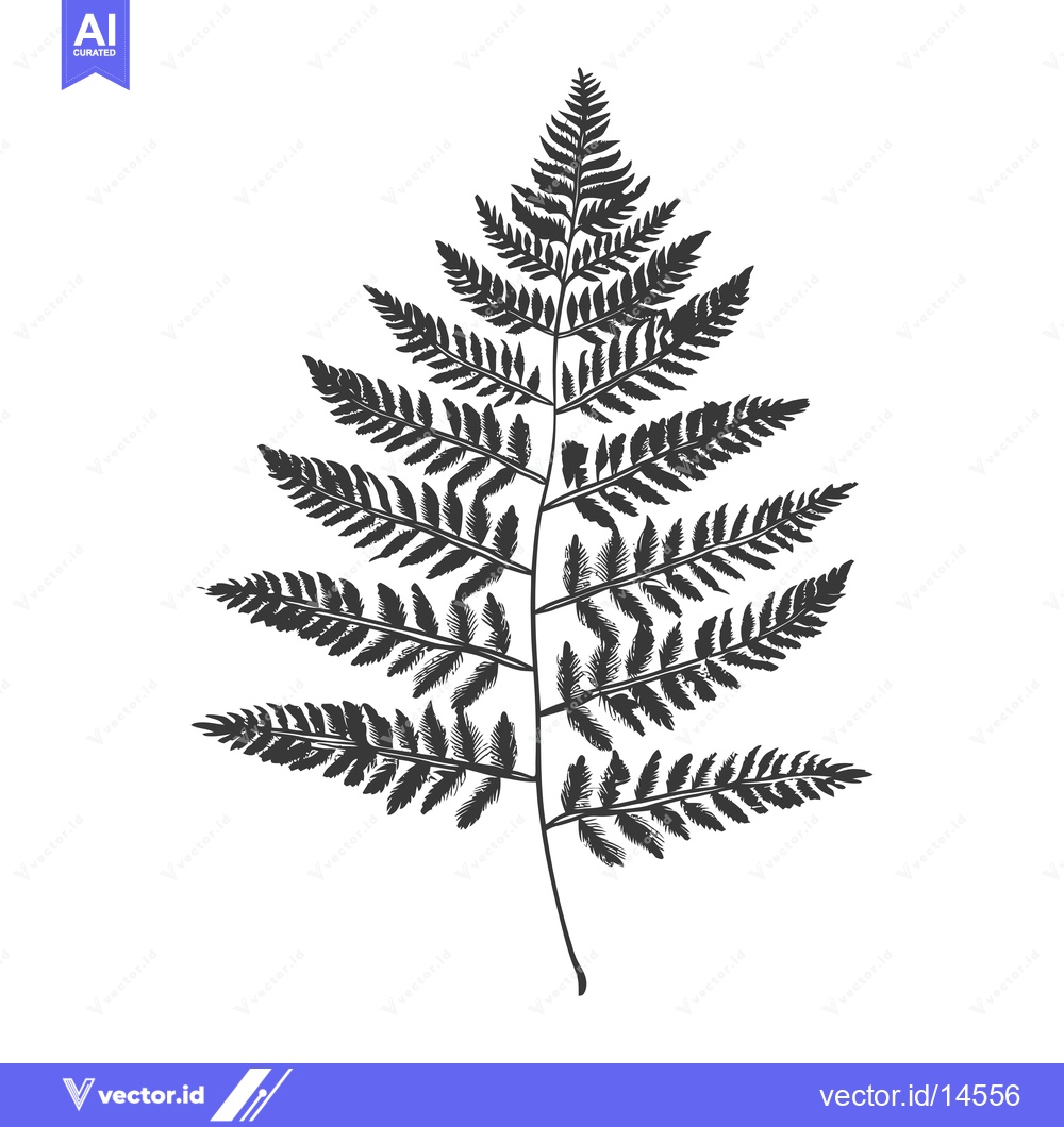 Premium Vector dari A Detailed Black and White Silhouette of a Fern Leaf