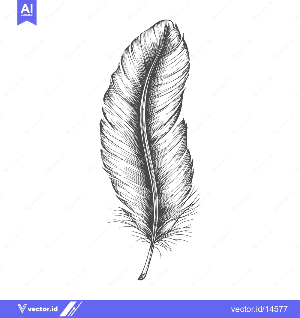 Premium Vector of A Detailed Hand-Drawn Illustration of a Single Bird Feather