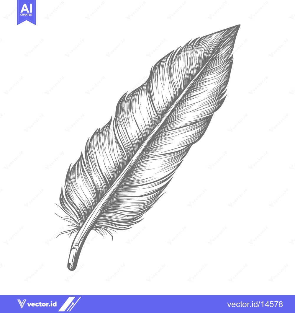 Premium Vector dari A Detailed Hand-Drawn Illustration of a Single Bird Feather