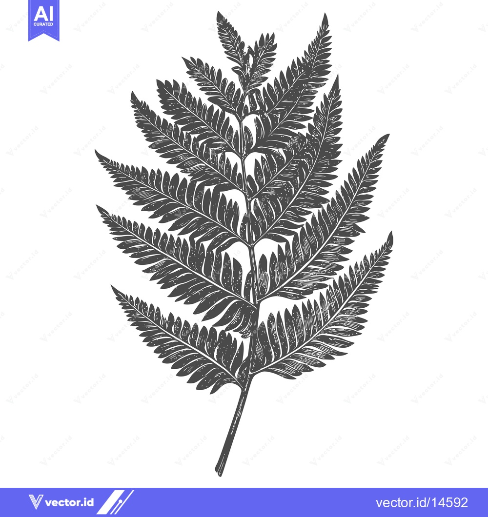 Premium Vector of A Detailed Illustration of a Fern Leaf in Black and White