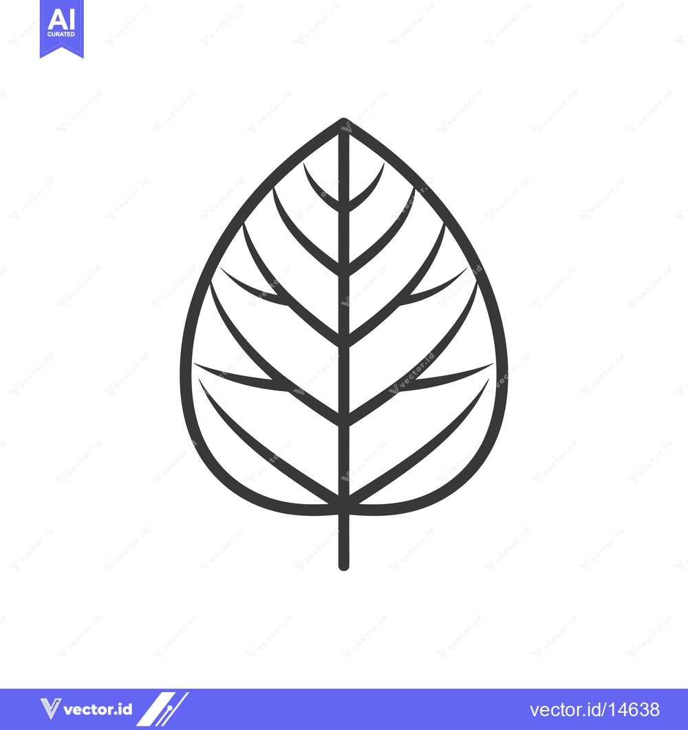 Premium Vector dari A Detailed Line Drawing of a Single Leaf with Veins
