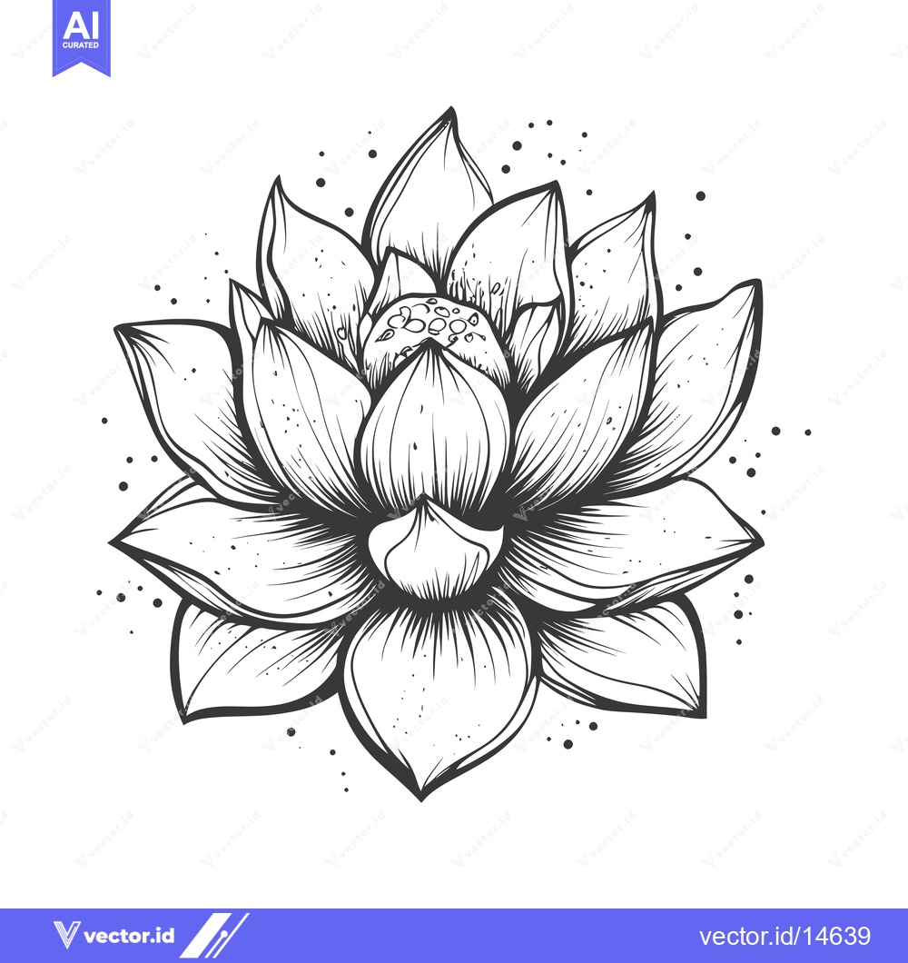 Premium Vector of A Detailed Line Drawing of a Single Lotus Flower