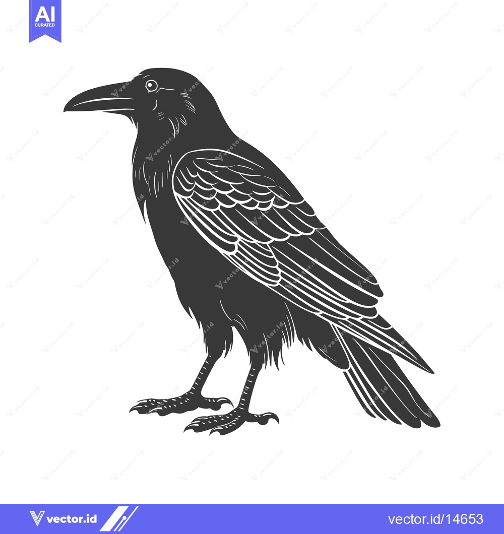 Premium Vector dari A Detailed Silhouette of a Raven with Feathered Wings and Talons