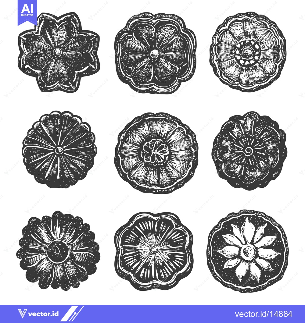 Premium Vector of Collection of Intricate Floral Designs in a Circular Shape