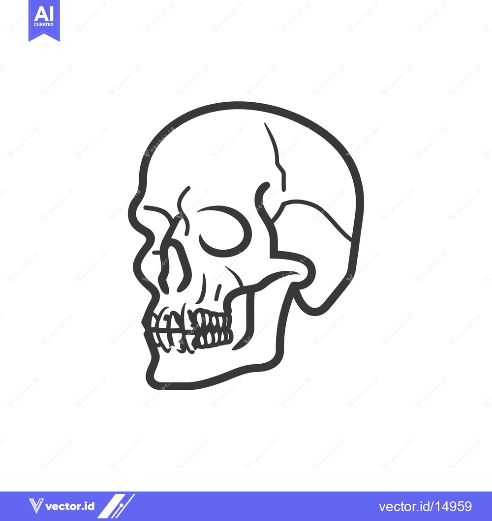 Premium Vector of A simplified black and white illustration of a human skull