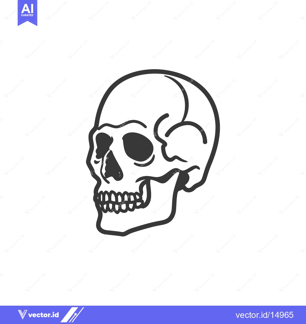 Premium Vector dari A simple illustration of a human skull facing rightward