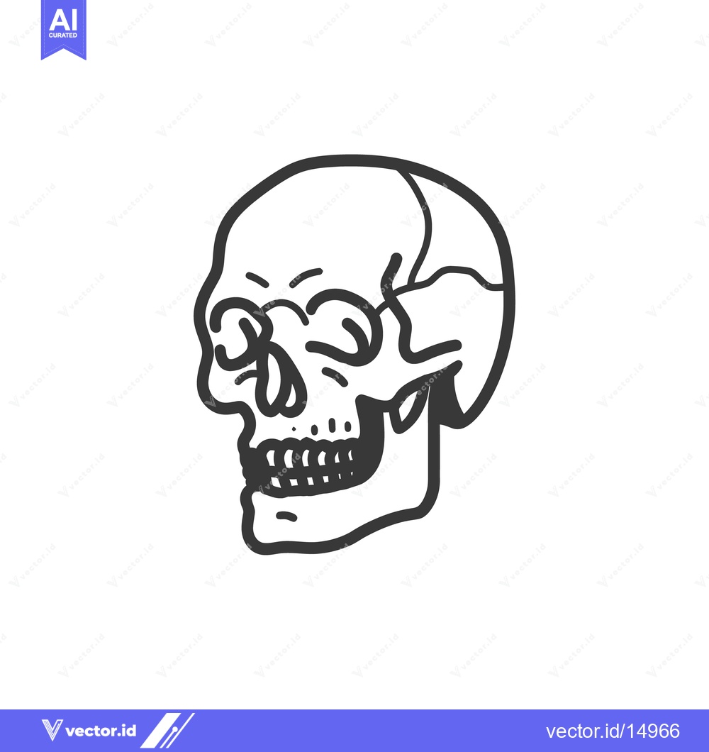 Premium Vector of An illustrated black and white depiction of a human skull