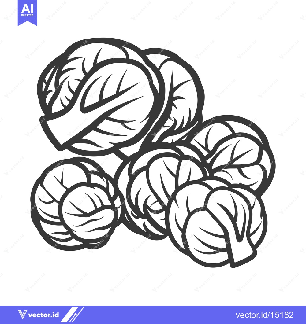 Premium Vector dari A Group of Brussels Sprouts Depicted in a Line Drawing Style