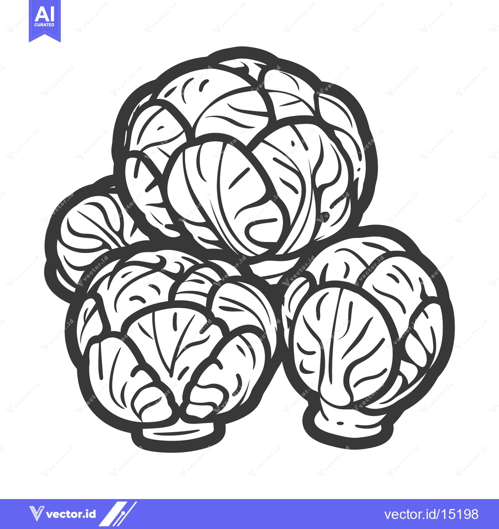 Premium Vector dari A Group of Four Whole Brussels Sprouts, Drawn in Black and White