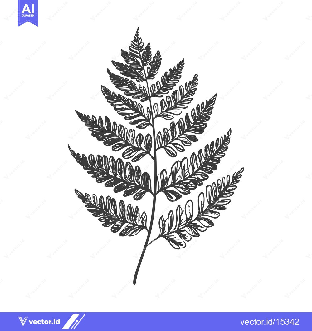 Premium Vector dari A Hand-Drawn Illustration of a Fern Leaf
