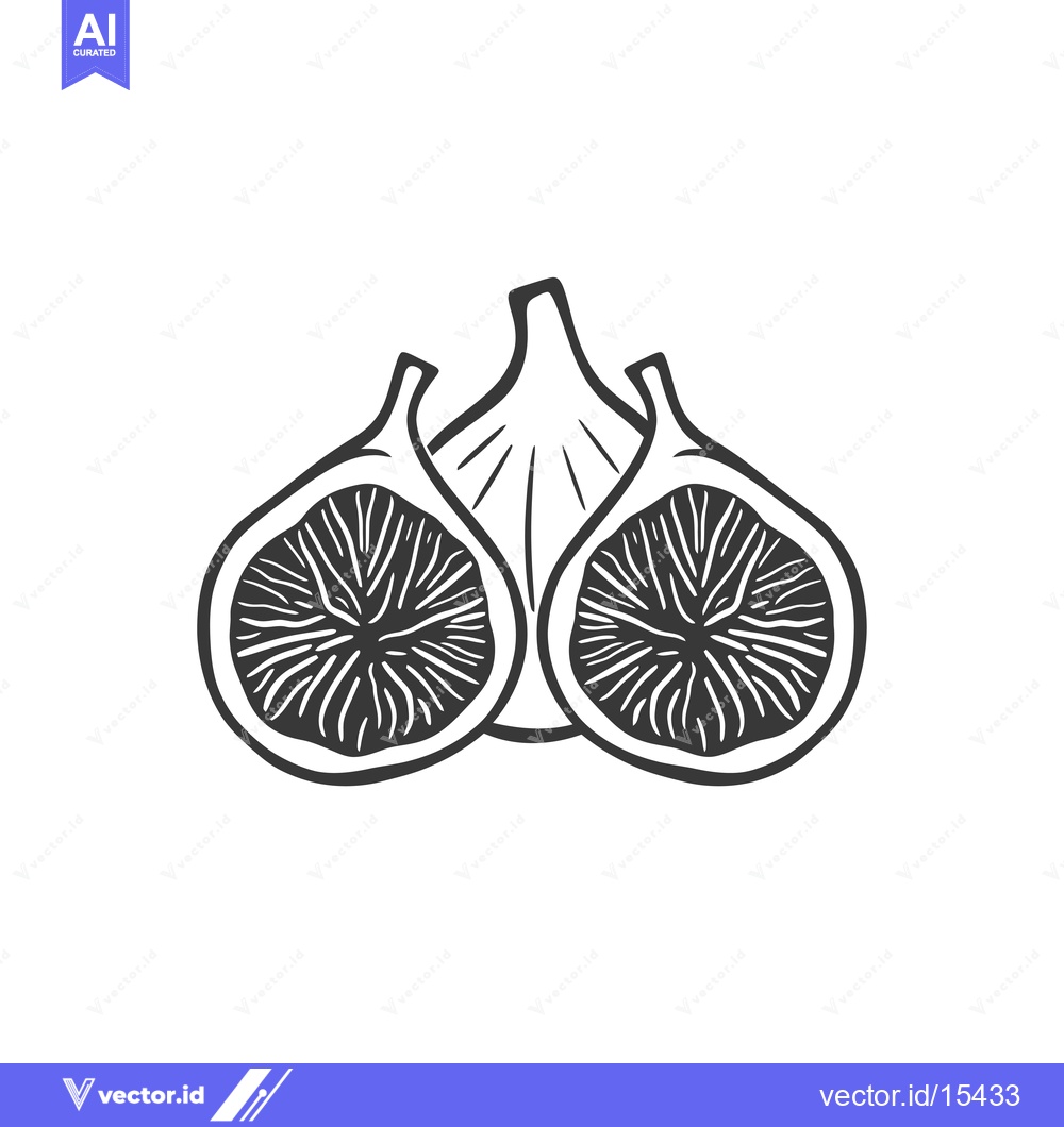 Premium Vector of A Hand-Drawn Illustration of a Whole and Two Halves of a Fig