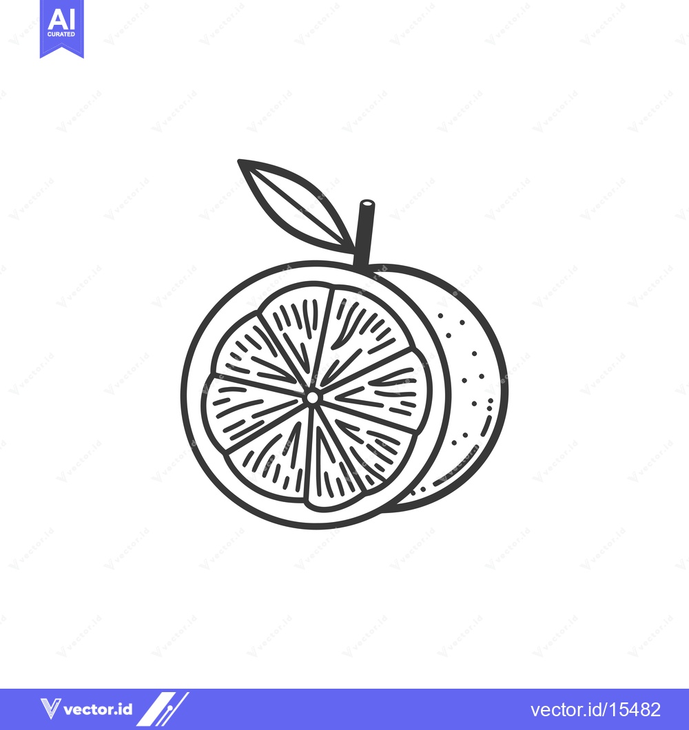 Premium Vector of A Hand Drawn Outline of an Orange Cut in Half