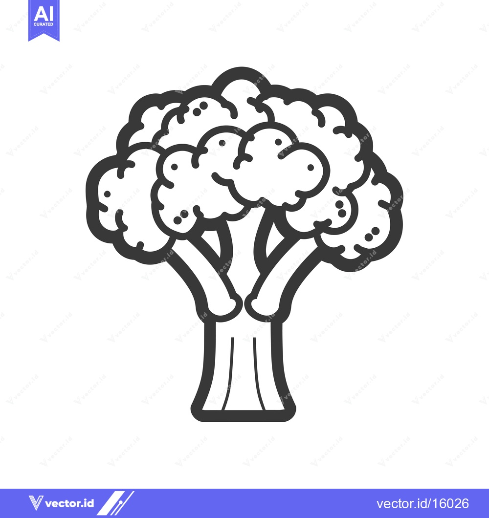 Premium Vector of A Line Drawing Illustration of a Single Head of Broccoli