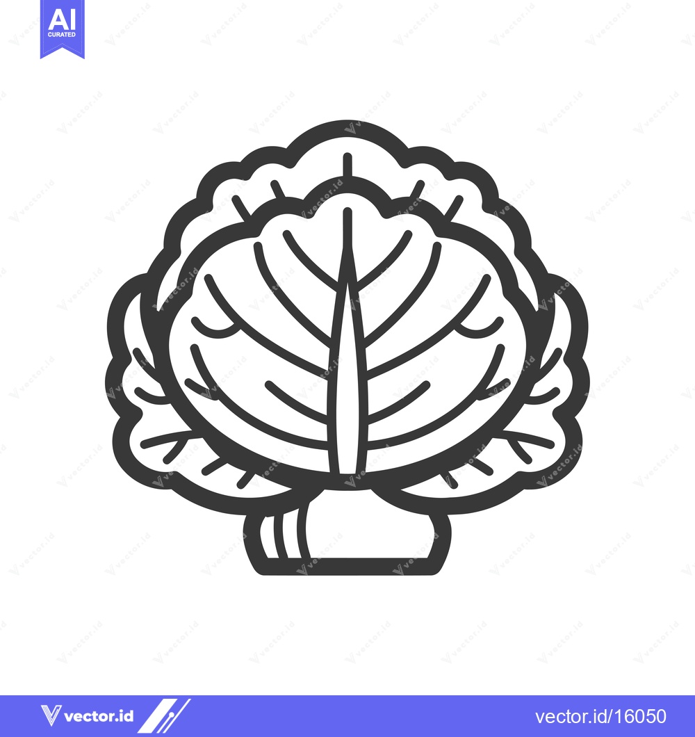 Premium Vector of A Line Drawing of a Cabbage with Rounded Leaves