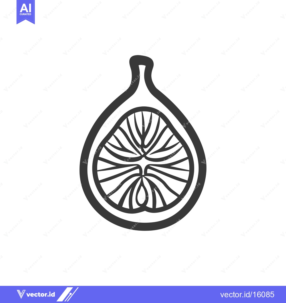 Premium Vector dari A Line Drawing of a Fig Fruit Cut in Half