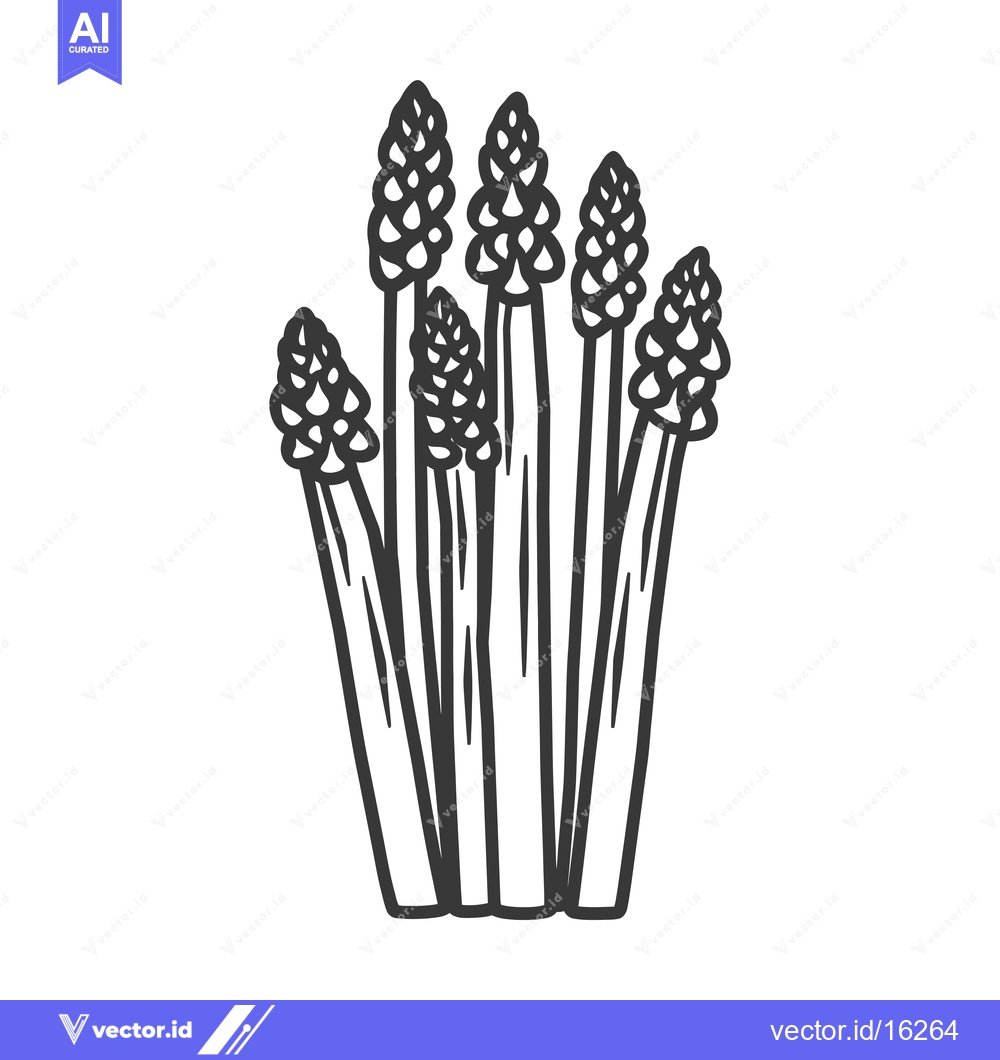 Premium Vector of A Line Drawing of Six Asparagus Spears