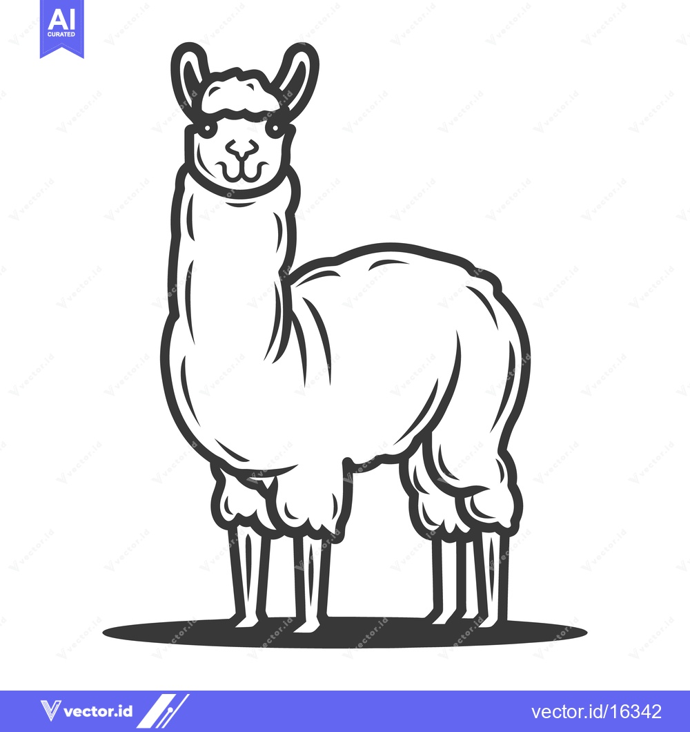 Premium Vector of A black and white illustration of a standing llama animal