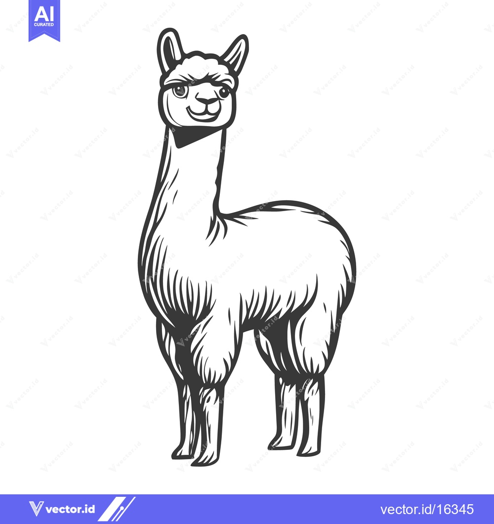 Premium Vector of A standing llama illustration in a simple black and white style