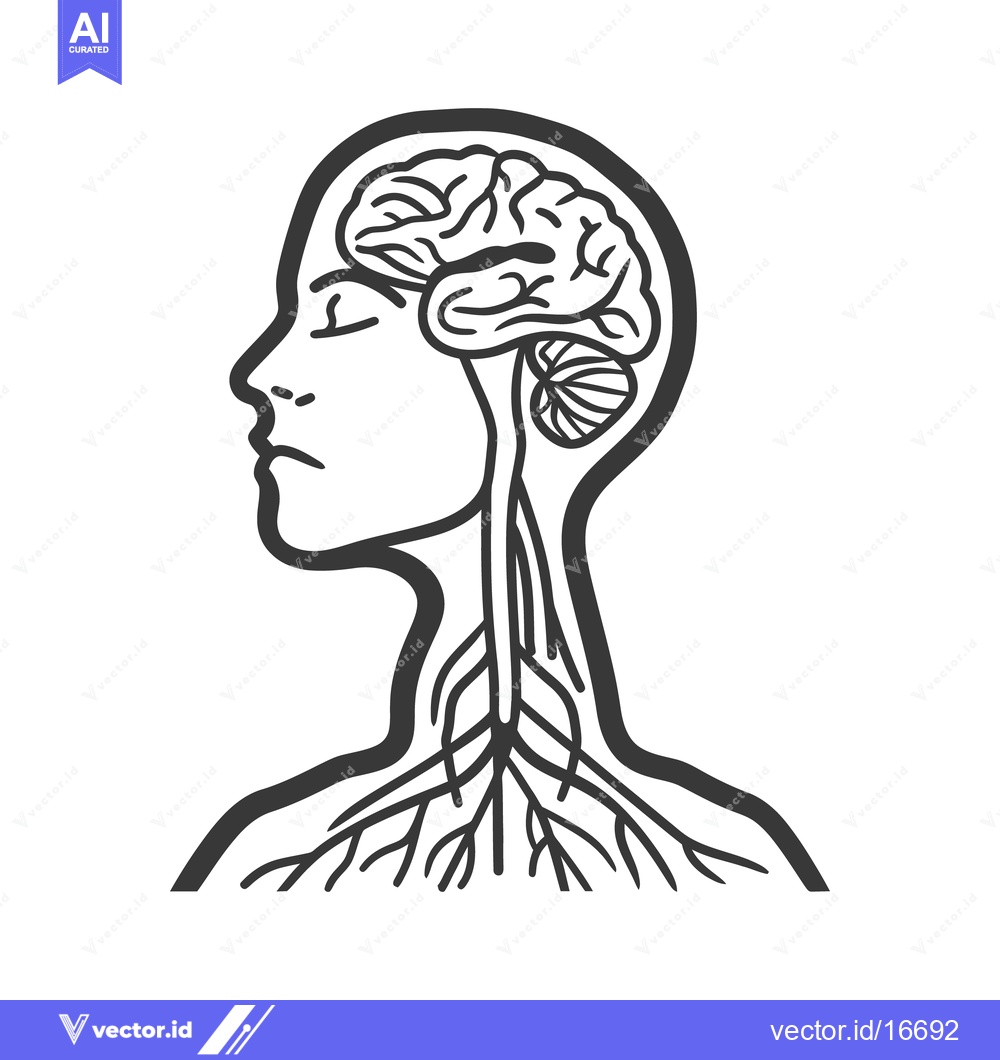 Premium Vector dari Anatomical illustration displaying a human head with exposed nervous s