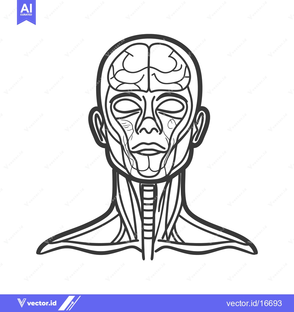 Premium Vector of Simple black and white anatomical illustration depicting the human hea