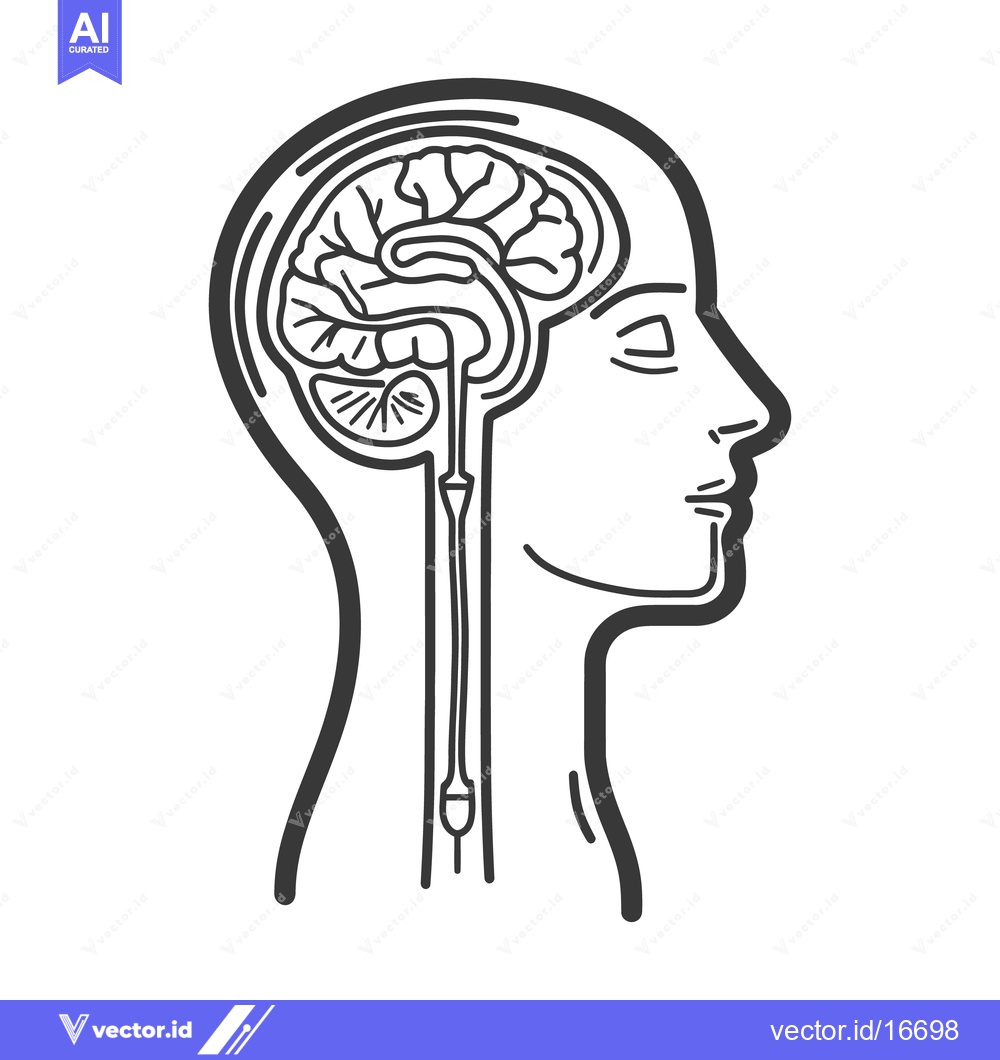 Premium Vector dari An anatomical illustration depicting the human brain and related compo