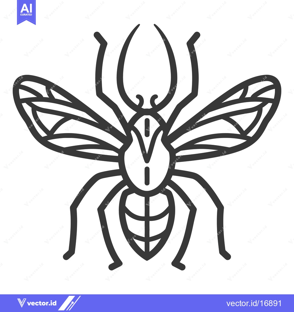 Premium Vector of A symmetrical detailed black line drawing depicting an insect