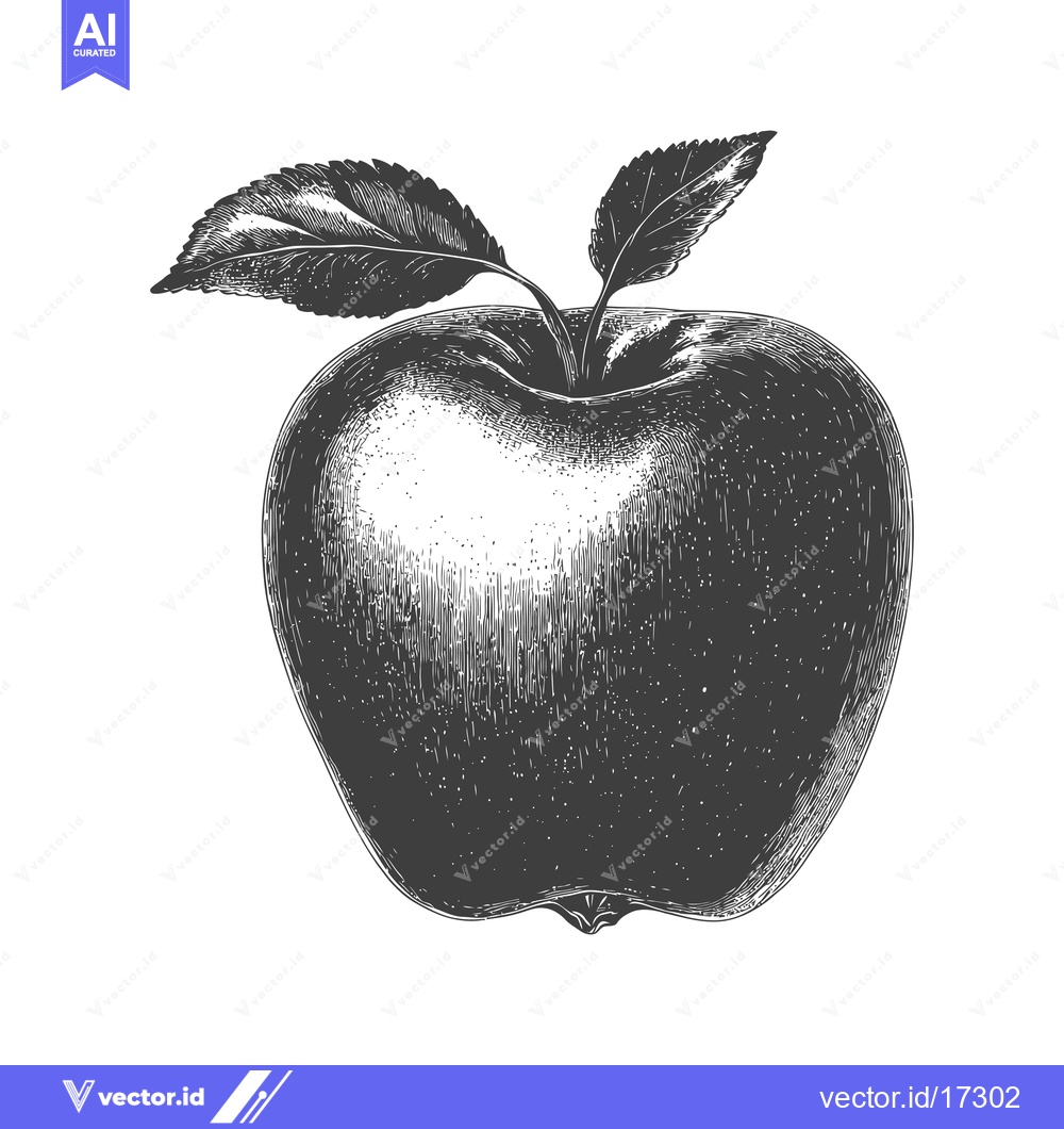 Premium Vector dari Engraved depiction of an apple with leaves against a white background
