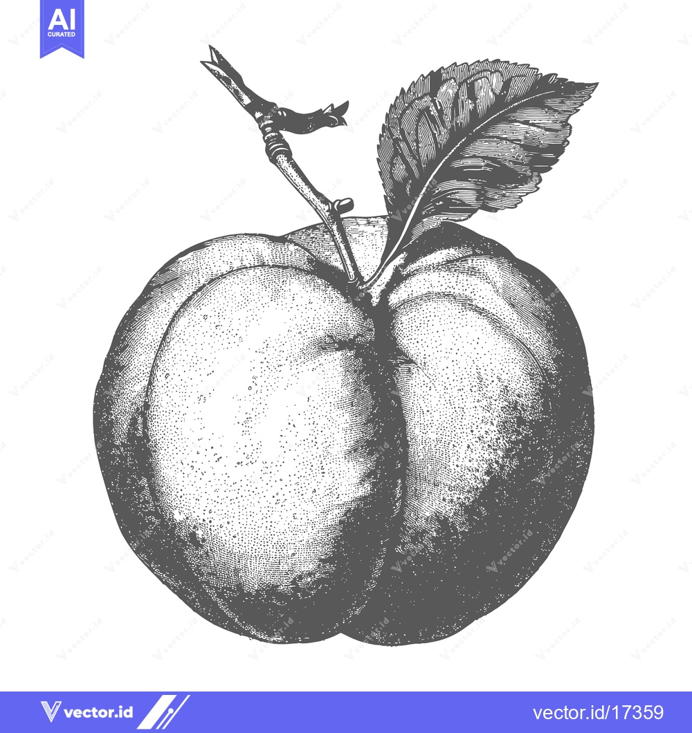 Premium Vector dari A detailed drawing showcases an apple with its leaves and branch