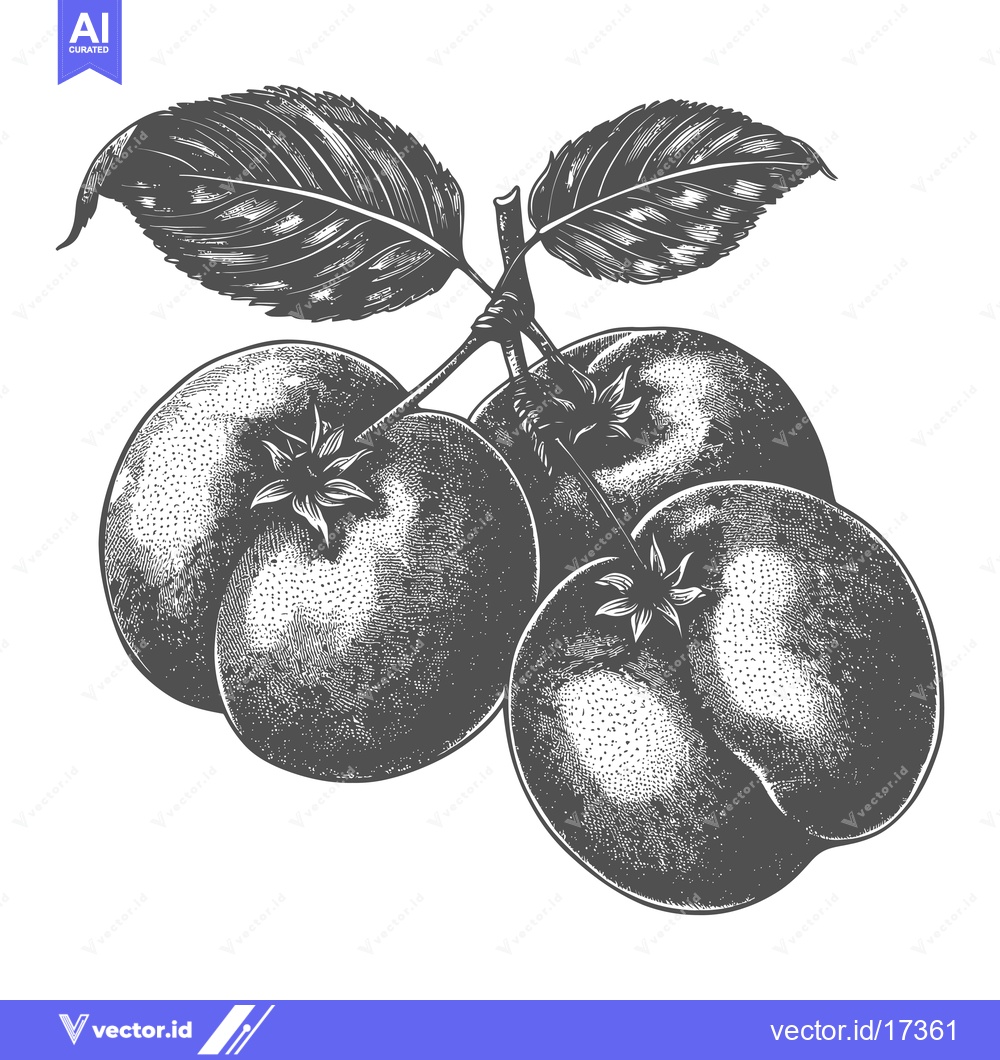 Premium Vector of A realistic close up of tomatoes and leaves on white