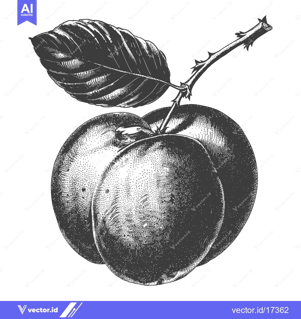 Premium Vector of A depiction of ripe fruits with a leaf and stem