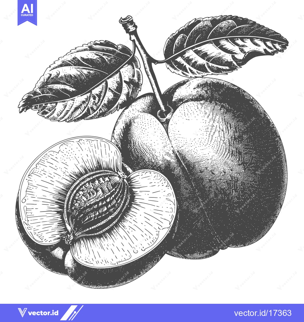 Premium Vector of A monochrome still life illustration featuring plums and leaves