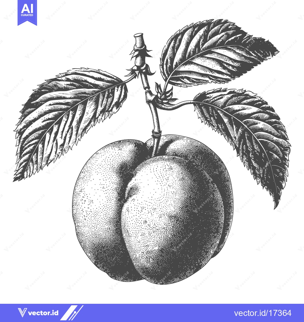 Premium Vector dari A single peach is attached to a tree branch with leaves