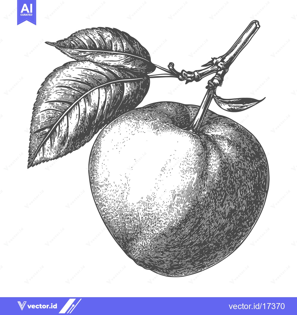 Premium Vector dari A close up illustration of a single apple