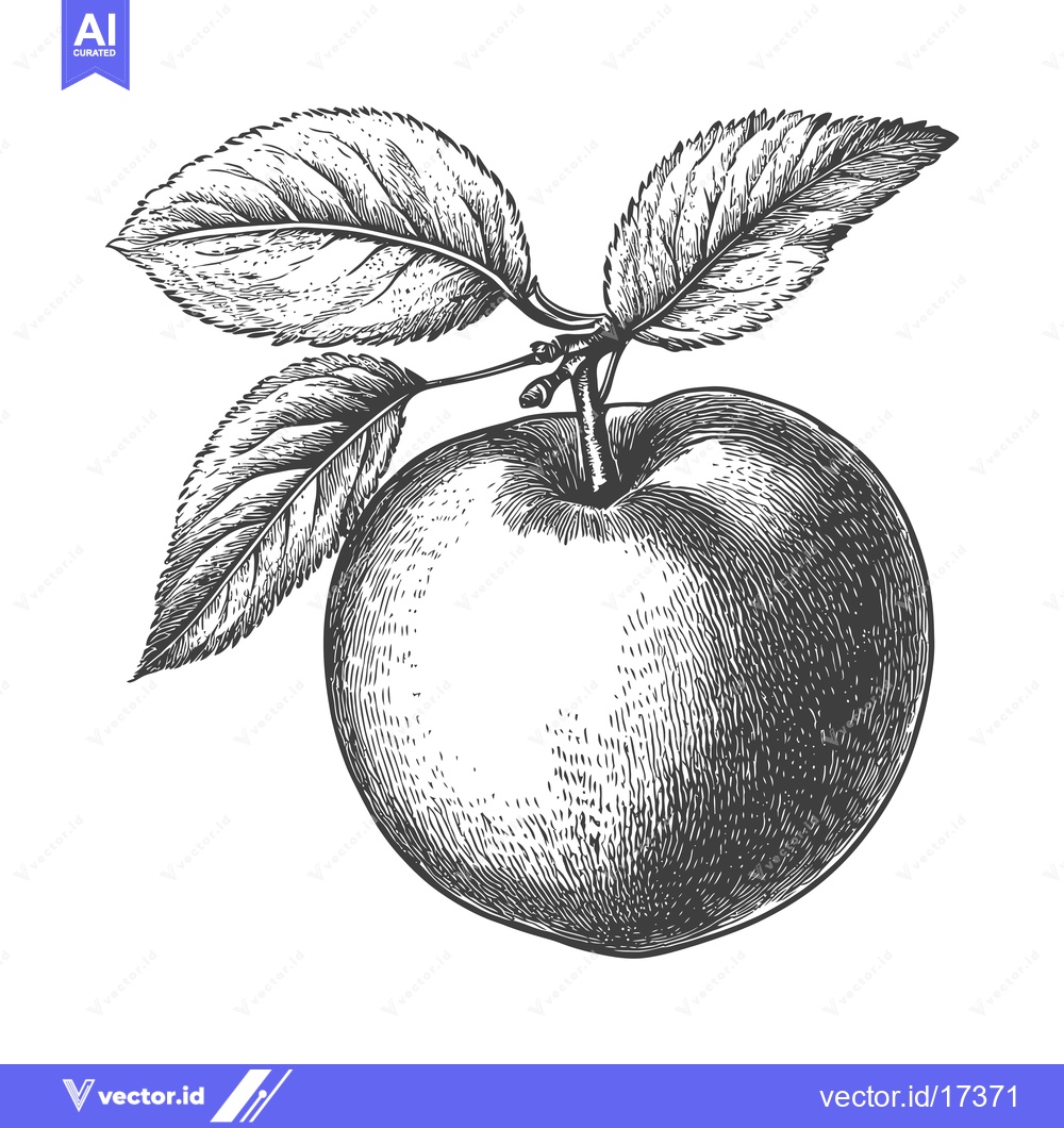 Premium Vector of A detailed drawing of an apple with three green leaves