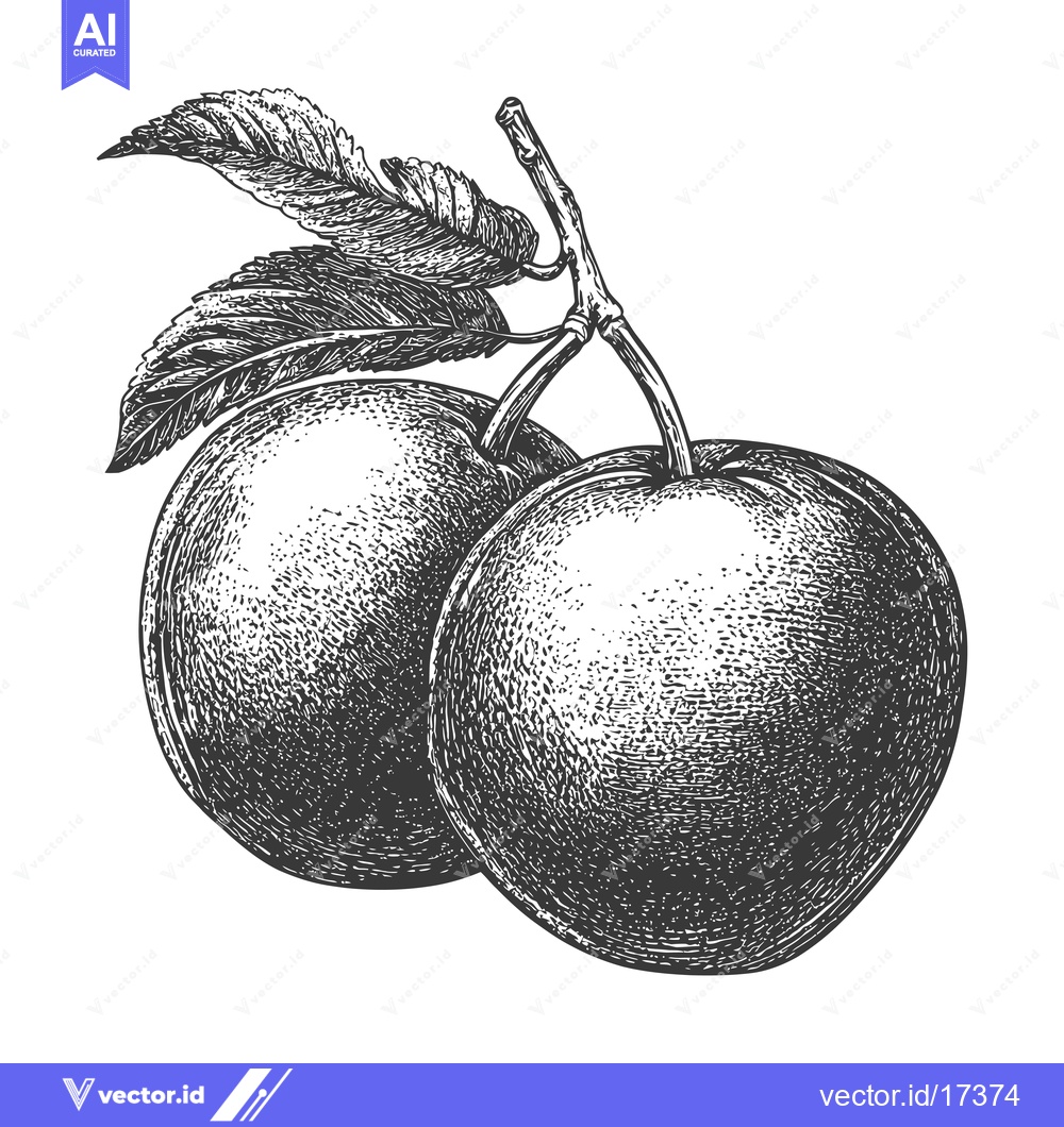 Premium Vector dari Two apples rest on a branch with leaves simple illustration style