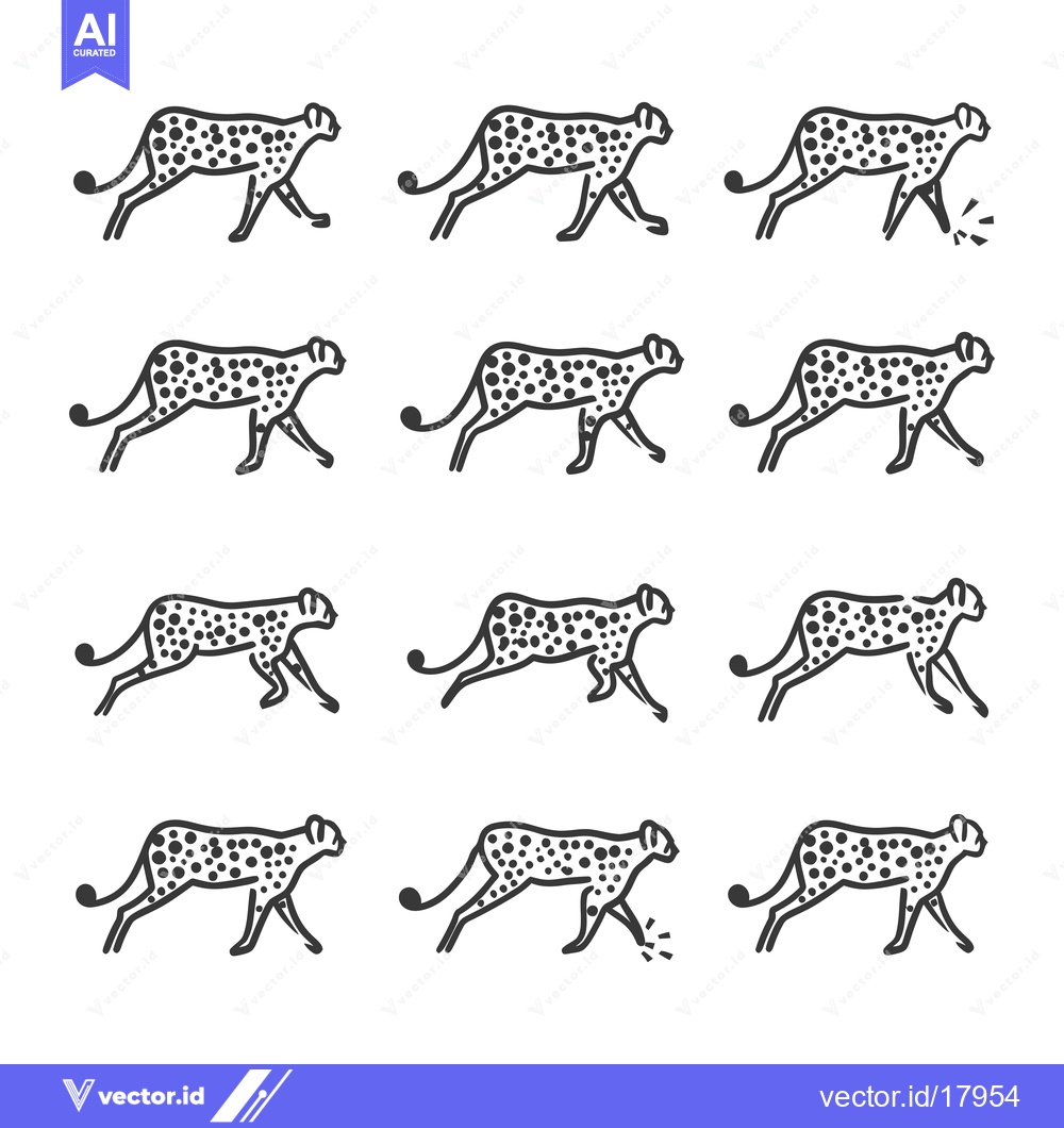 Premium Vector of A series of twelve black and white line drawings of a cheetah walking,