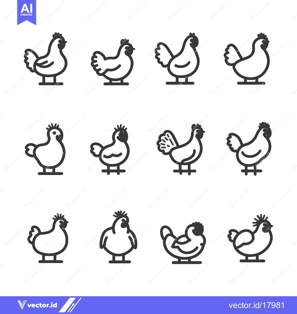 Premium Vector of A Set of 12 Line Drawings of Chickens in Various Poses
