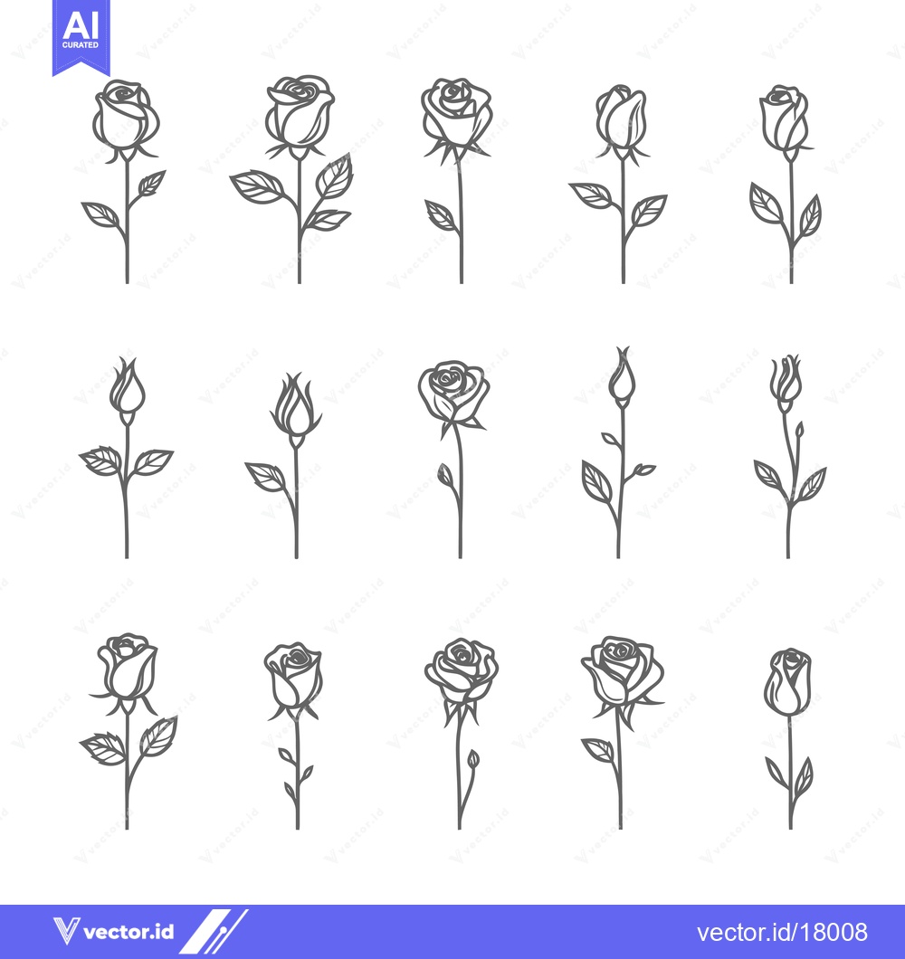 Premium Vector of A Set of 15 Outline Illustrations of Roses in Various Stages of Bloom